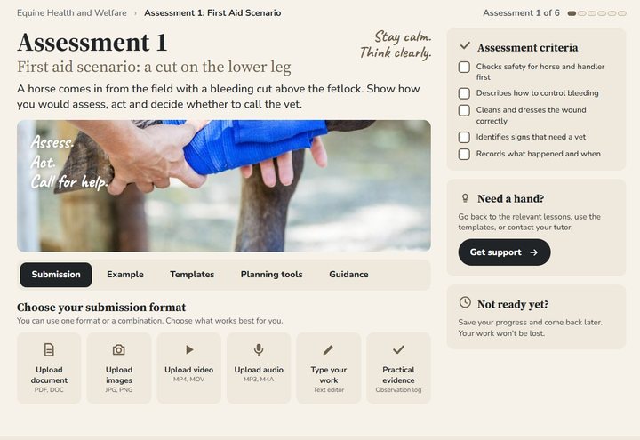 Ages 16 to 17 assessment screen: first aid scenario