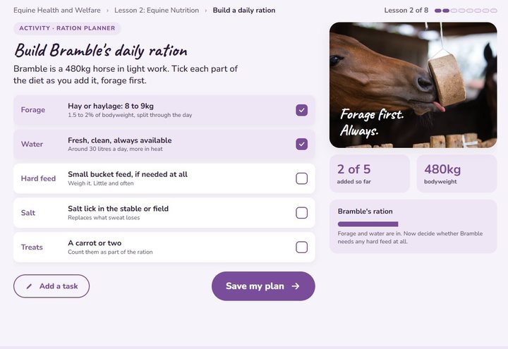 Ages 12 to 15 activity screen: build the feed bucket