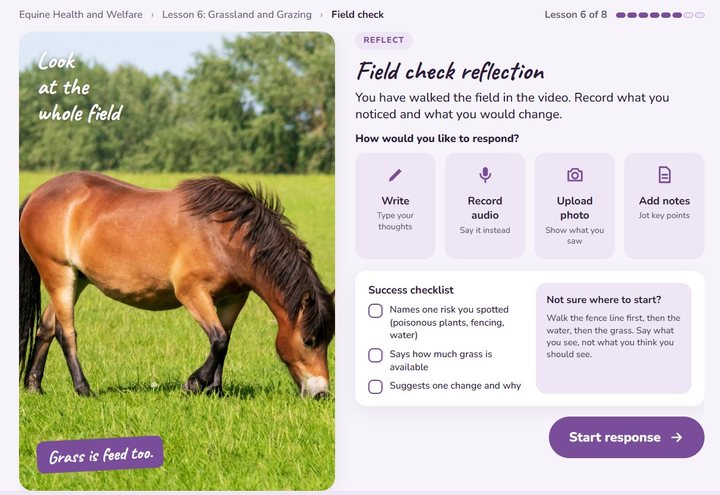 Ages 12 to 15 reflection screen: field check