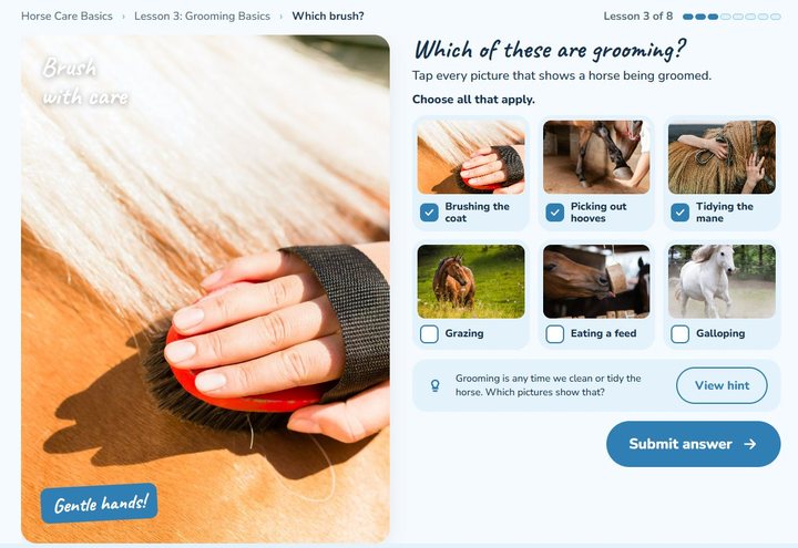 Ages 8 to 11 activity screen: which brush comes first?