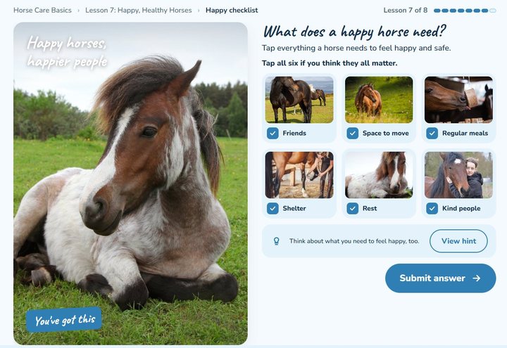 Ages 8 to 11 activity screen: what does a happy horse need?