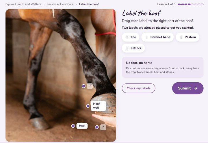 Ages 12 to 15 activity screen: label the hoof