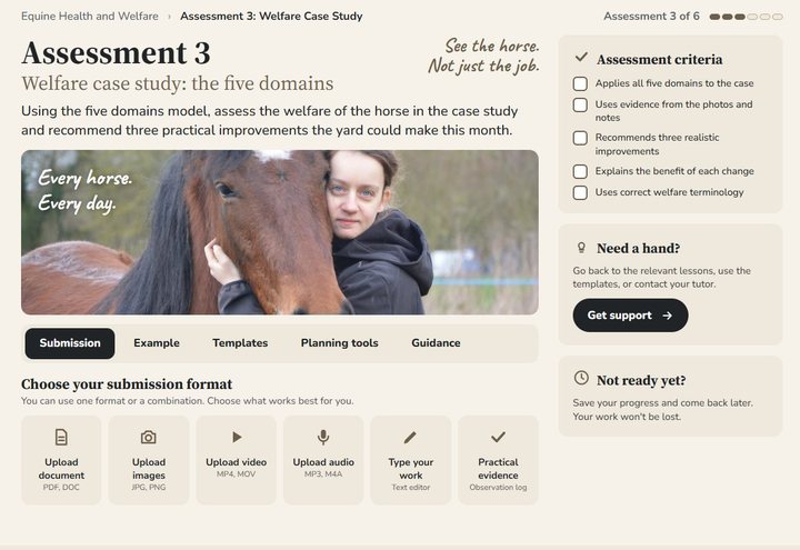 Ages 16 to 17 assessment screen: welfare case study