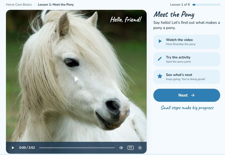 Ages 8 to 11 lesson screen: Meet the Pony