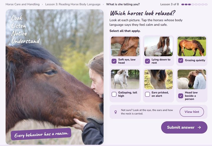 Ages 12 to 15 activity screen: what is this horse telling you?