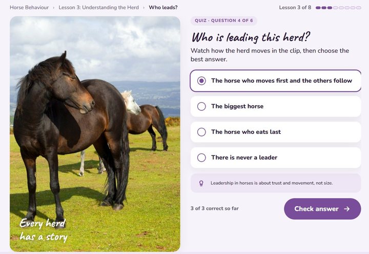 Ages 12 to 15 quiz screen: who is leading this herd?