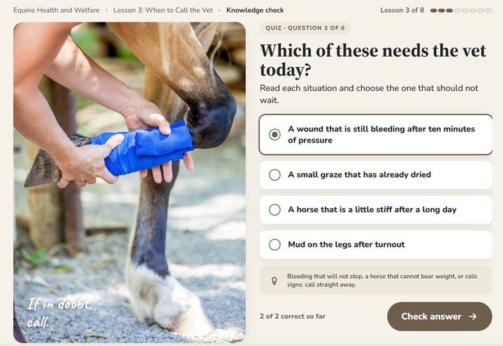 The Interact format: a knowledge check for ages 16 to 17 on when to call the vet