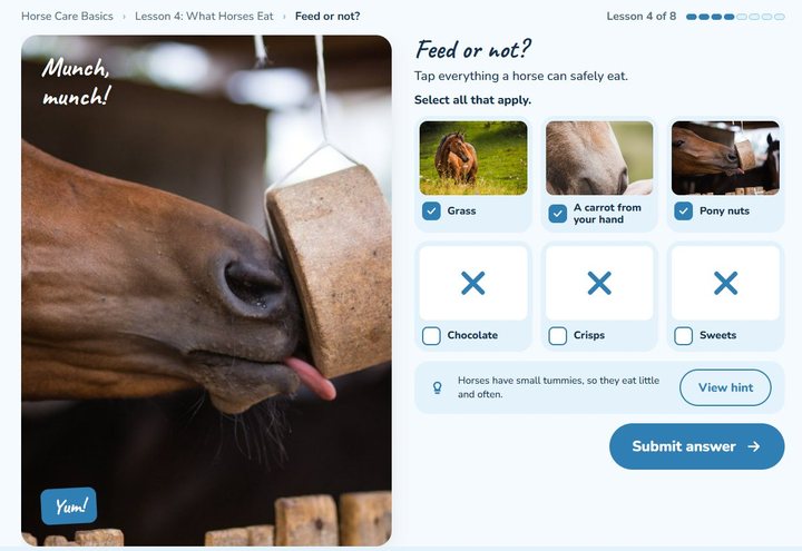 Ages 8 to 11 activity screen: feed or not?