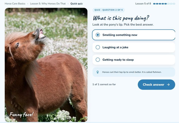Ages 8 to 11 quiz screen: what is this pony doing?