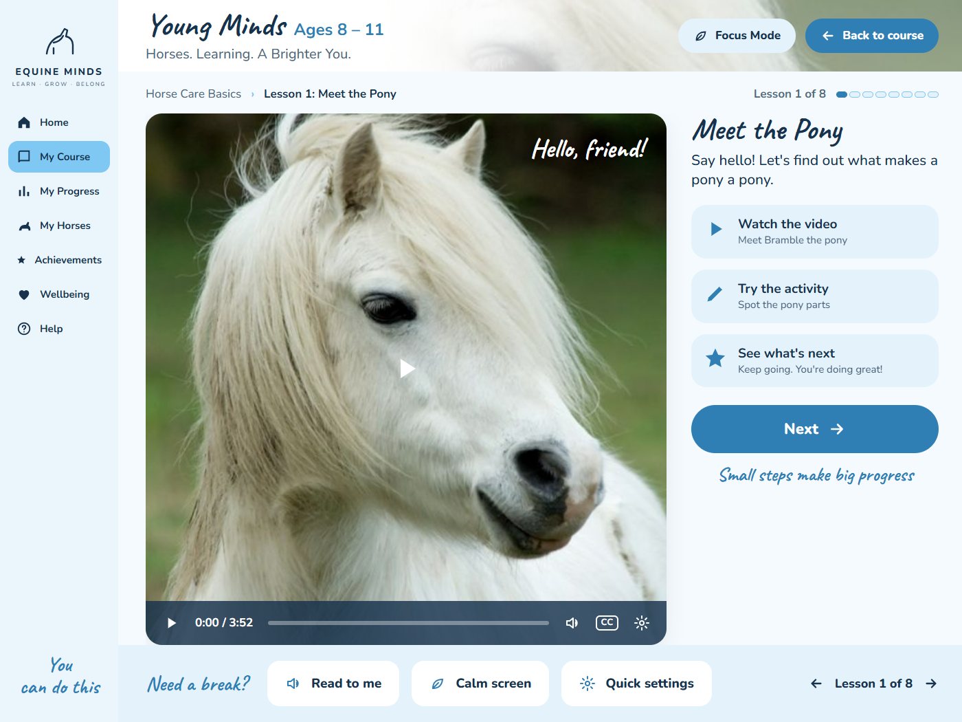 The ages 8 to 11 lesson screen: Meet the Pony, a video lesson with three next steps and a Next button