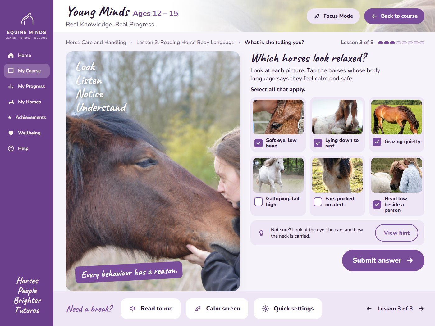 The ages 12 to 15 activity screen: which horses look relaxed, with six photo tiles to choose from